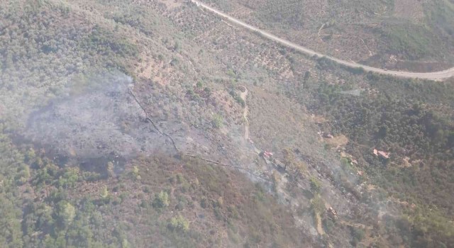 Milasta çıkan yangın kontrol altına alındı