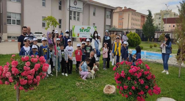 Minik dostlara sevginin yolu bu bahçeden geçiyor