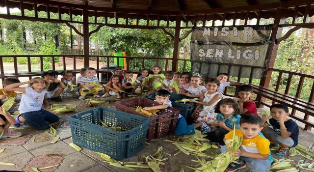Minik öğrenciler mısır şenliği yaptı