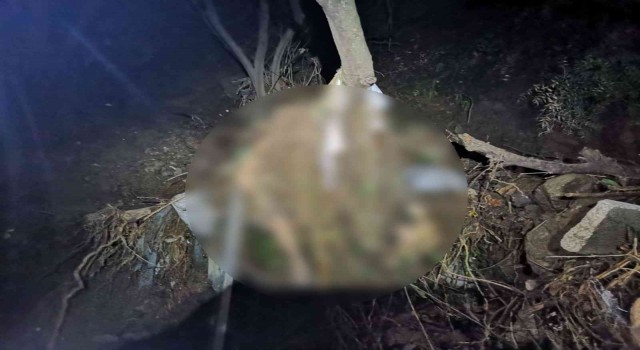 Mudanyadaki sel felaketinden acı haber: 2 gün sonra dere yatağında cesedi bulundu