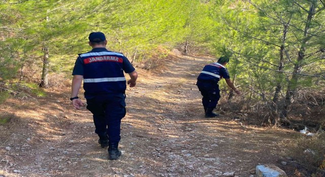 Muğlada orman yangını riskine karşı teyakkuz