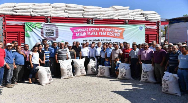 Mutta 279 yetiştiriciye yüzde 50 hibeli yem desteği