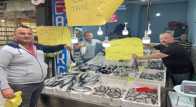 Orduda palamut balığını tanesi 20 liraya düştü