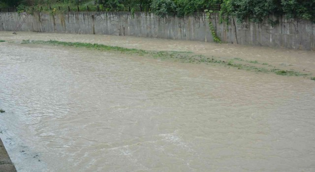 Orduda sağanak yağış etkili oldu