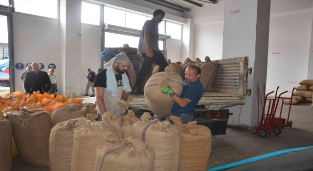 Orduda TMOya talep artıyor