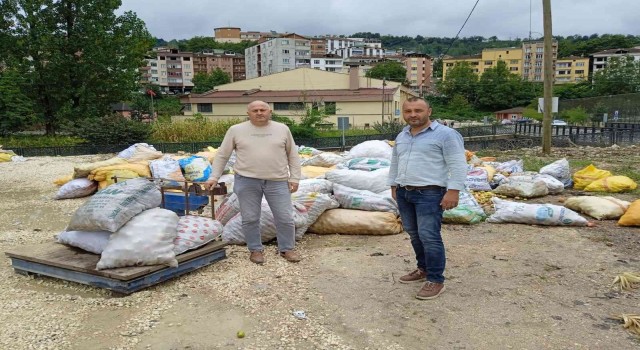 Orduda toptan elma alımları sürüyor