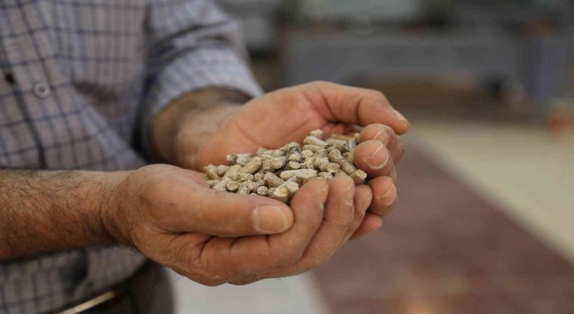 Orman ürünleri ziyan olmasın diye pelet fabrikası kurdu