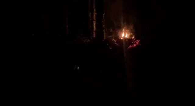 Ormanda lastik yakan 2 kişi kovalamaca sonucu yakalandı