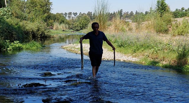 Osmaniye Karaçay’da Balık Ölümleri: Vatandaşlar Tedirgin