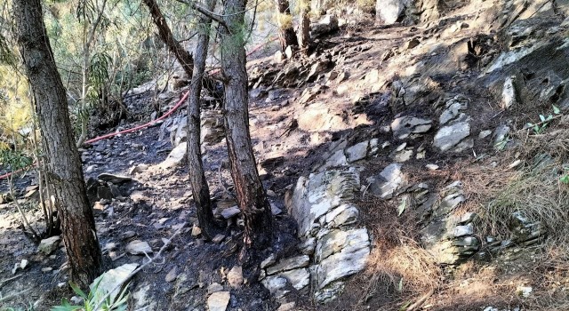 Osmaniyedeki orman yangını büyümeden söndürüldü