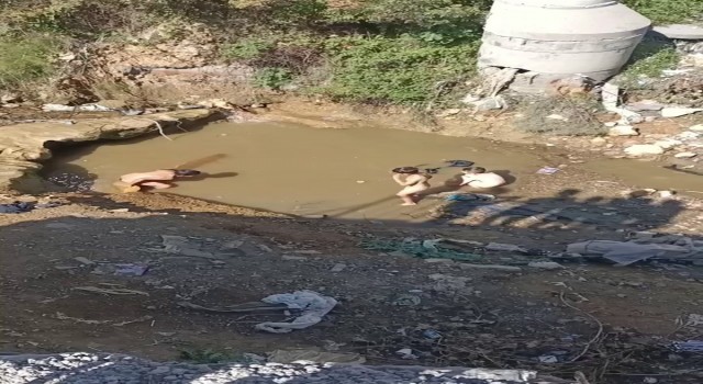 (ÖZEL) Arnavutköyde gider sularının oluşturduğu su birikintisinde yüzen çocuklar böyle görüntülendi