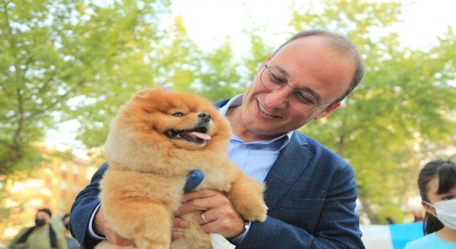 Pamukkalenin en özel festivali Patifest bu pazar gerçekleşecek