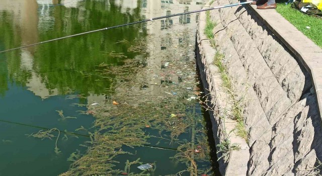 Porsuk Çayı ve çevresine atılan çöpler kötü görüntüler oluşturdu