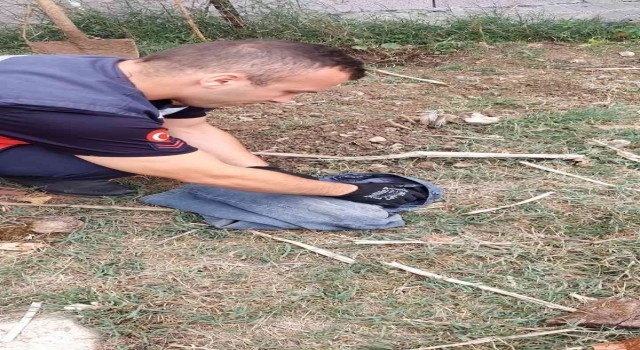 Rögar kapağına sıkışan yavru köpeği itfaiye ekipleri kurtardı