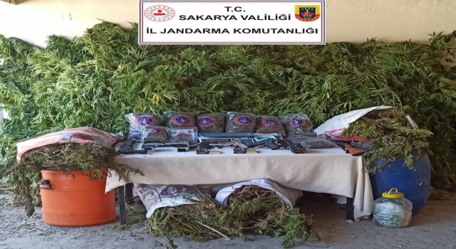 Sakaryada 70 kilo esrar ele geçirildi: 3 gözaltı
