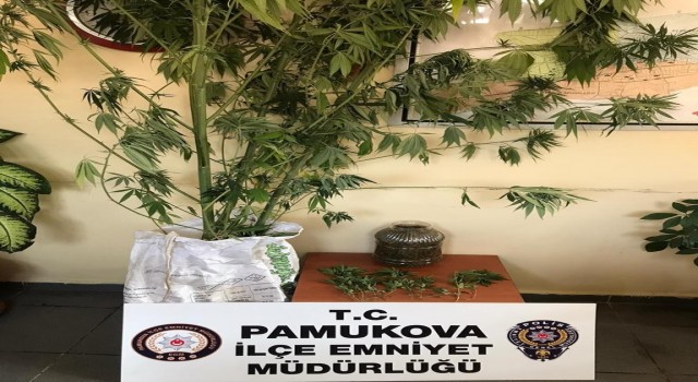Sakaryada uyuşturucu operasyonları: 5 gözaltı