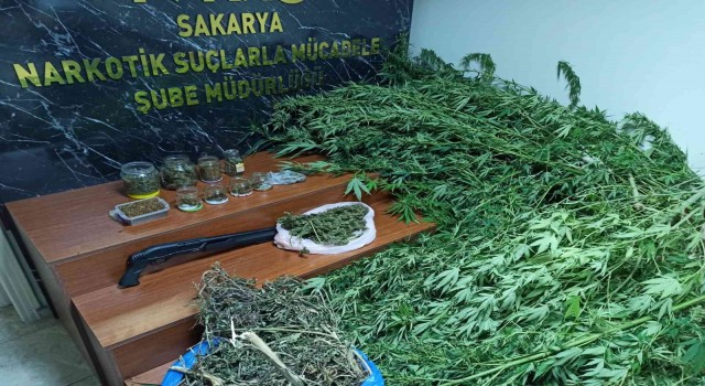 Sakaryada uyuşturucu operasyonu: 4 tutuklama