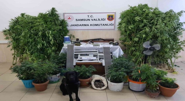 Samsunda uyuşturucu operasyonu: Baba-oğul tutuklandı