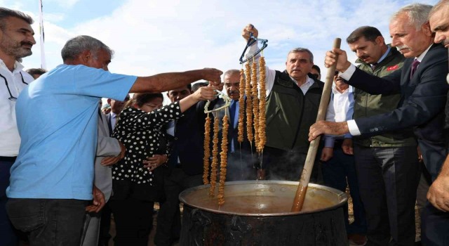 Şanlıurfada bağ bozumu festivali