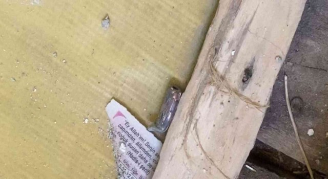 Şanlıurfada kanlı pusu kamerada