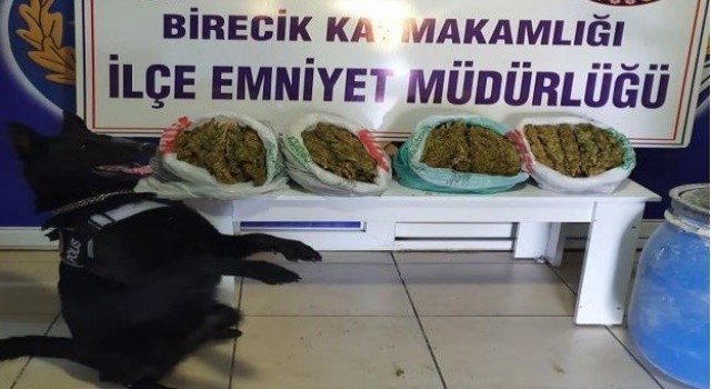 Şanlıurfada narkotik köpeği Kyra uyuşturucuya geçit vermedi