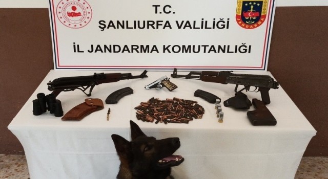 Şanlıurfada silah kaçakçılığı operasyonu: 2 gözaltı