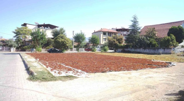 Sarıgölde üzüm sergi alanları şehre taştı