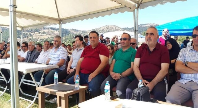Şeyh köyünde armut ve çilek festivali