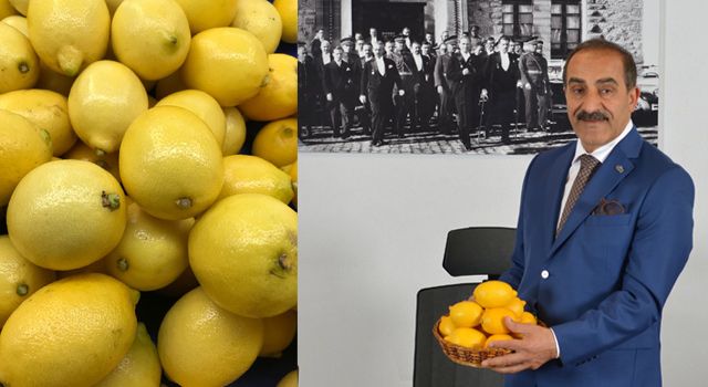 Sezonun ilk limonu 15 Eylül’de ihracat yolcusu