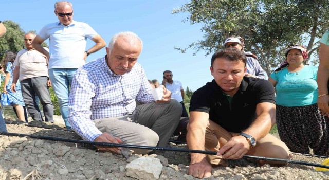 Şifalı bitki olarak bilinen şevketi bostan tohumları Akdenizde toprakla buluştu