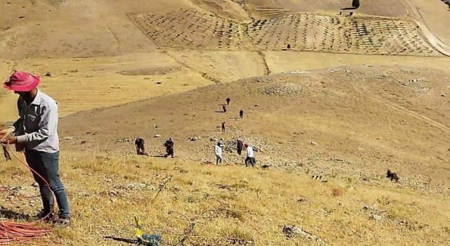 Siirtte bir işçiyi akrep soktu
