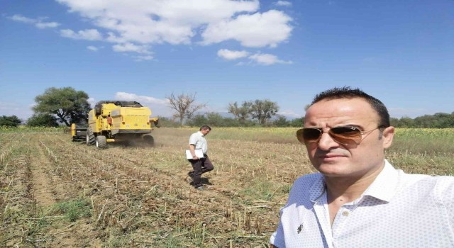 Simavda yağlık ayçiçeği projesinde hasat dönemi başladı