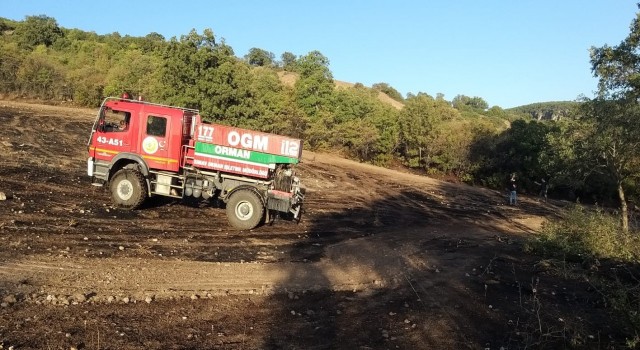 Simavdaki yangında 3 dekar zirai alan zarar gördü