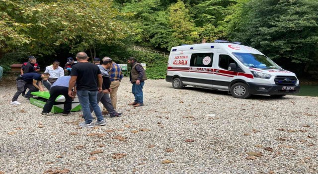 Sinop Erfelek Şelalelerinde ağaç devrildi: 2 ölü, 1 yaralı
