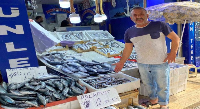 Sinopta az miktarda avlanan hamsinin kilosu 50 TL
