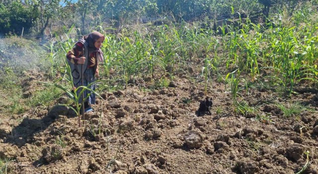 Sinopta kuru otları tutuşturan vatandaş az daha köyü yakıyordu