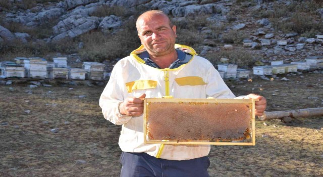 Siparişler kovandan çıkmadan alınıyor, kilogramı 300 TLden satılıyor