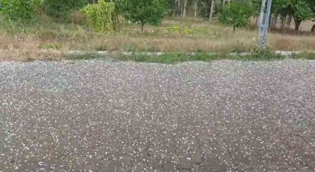 Sivasta dolu yağışı etkili oldu