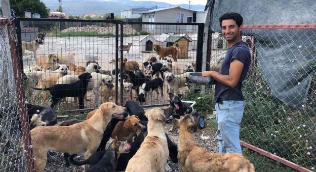 Sokak hayvanlarına hayat veren bağış