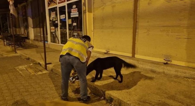 Sokak hayvanlarına polis şefkati