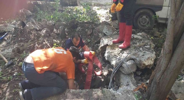 Su kuyusuna düşen at iş makinesiyle kurtarıldı