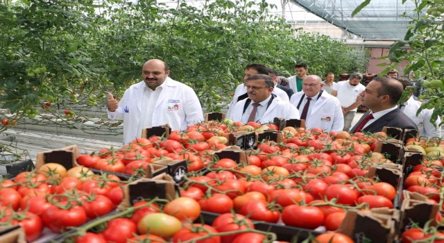 Tarım Kredi kurmayları termal seralara hayran kaldı