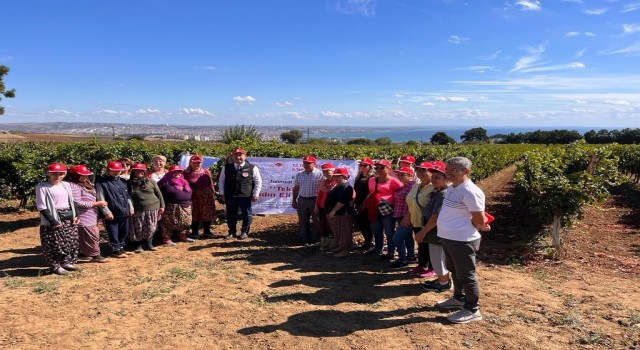 “Tekirdağ bağları kadın eliyle güzelleşiyor” projesi tamamlandı