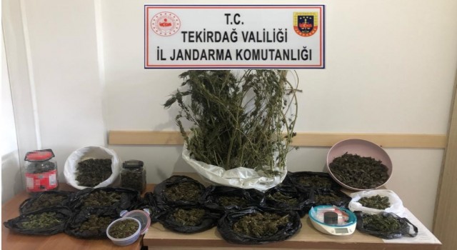 Tekirdağın 5 ilçesinde uyuşturucu operasyonu
