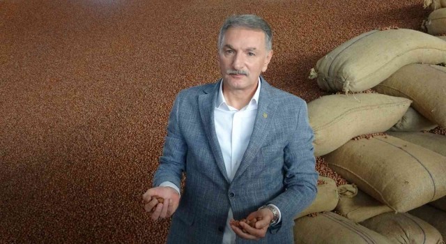 TMO Genel Müdürü Güldaldan fındıkta serbest piyasa açıklaması