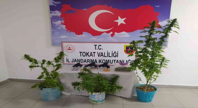 Tokatta uyuşturucu operasyonu: 2 gözaltı