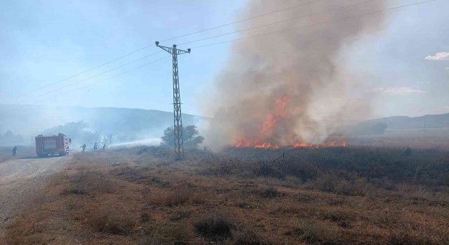 Tosyada anız yangınında çeltik tarlaları zarar gördü
