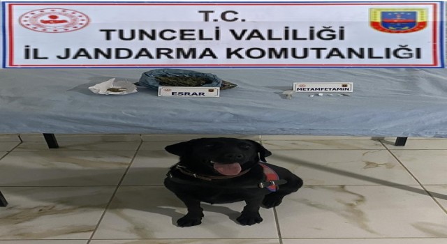 Tuncelide uyuşturucudan 2 gözaltı