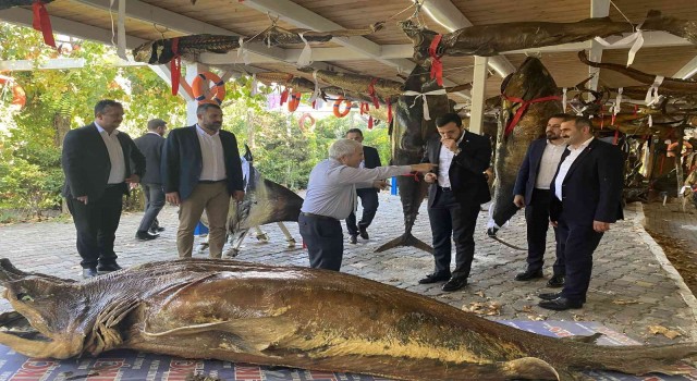 Türkiye Deniz Canlıları Müzesine anlamlı ziyaret