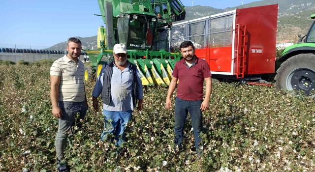 Türkiyenin pamuk ambarı Sökede beyaz altın hasadı başladı